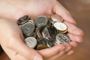 Borrower's Capacity