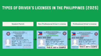 Types of Driver’s Licenses in the Philippines (2025) showing student, non-pro, and professional license samples.