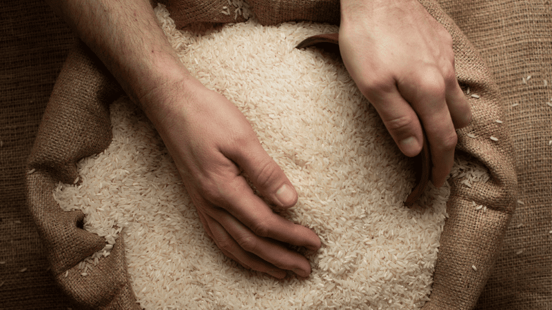 Operational Challenges: How to Keep Your Bigasan Running Smoothly